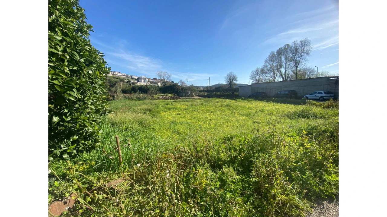 Terreno para Venda em Eiras e São Paulo de Frades Foto 5