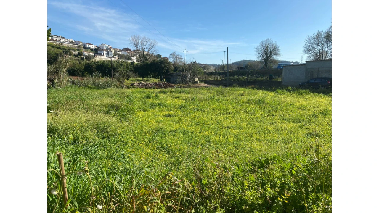 Terreno para Venda em Eiras e São Paulo de Frades Foto 6