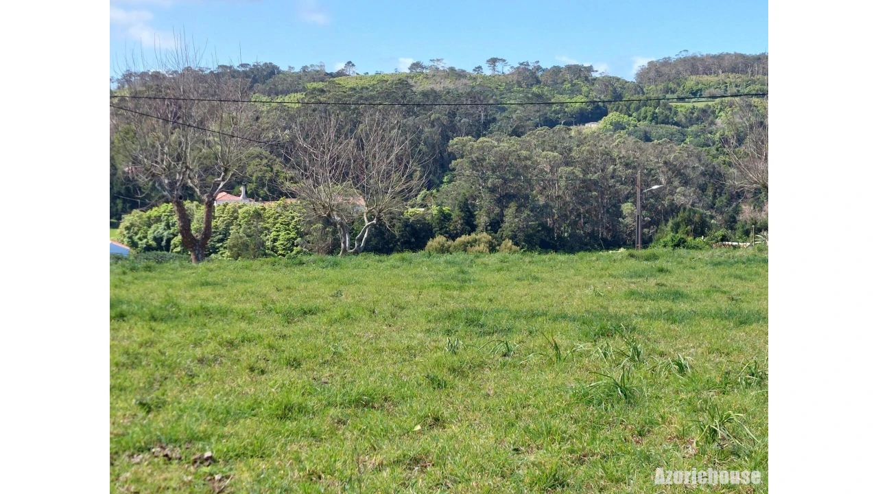 Terreno para Venda em São Pedro Foto 13