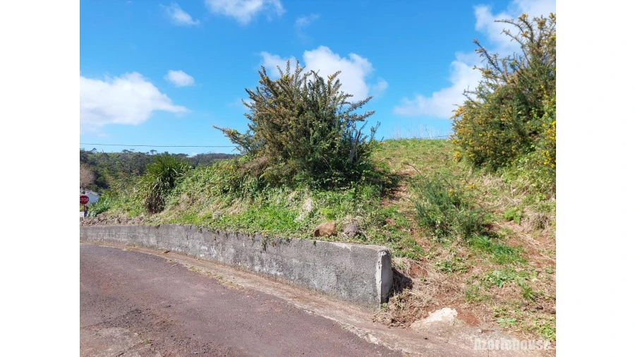 Terreno para Venda em São Pedro Foto 4
