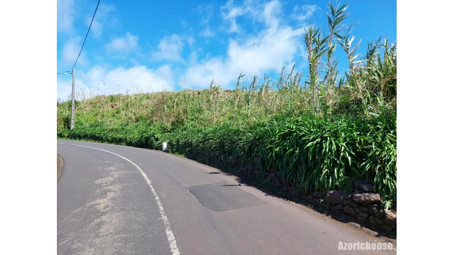 Terreno para Venda em São Pedro Foto 3