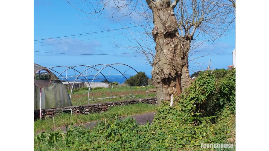 Terreno para Venda em São Pedro Foto 9