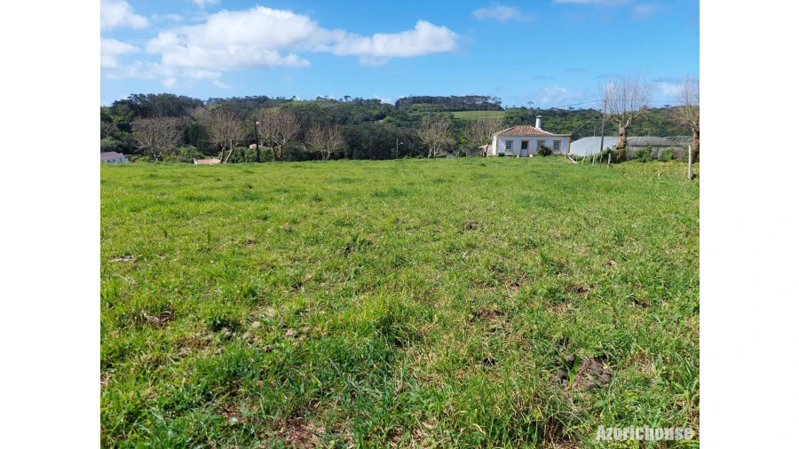 Terreno para Venda em São Pedro Foto 11