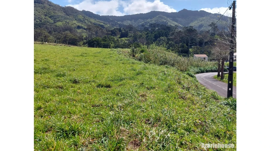 Terreno para Venda em São Pedro Foto 14