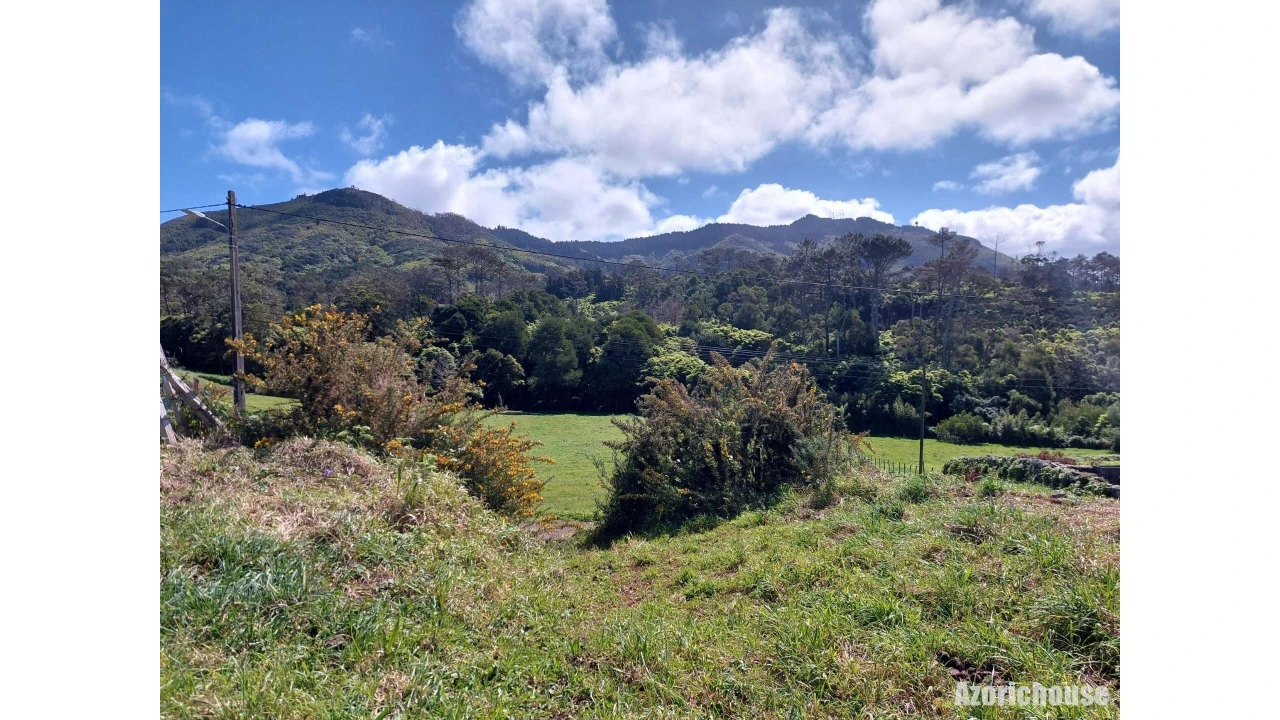 Terreno para Venda em São Pedro Foto 1