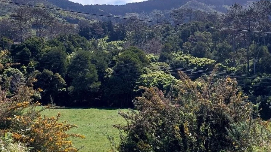 Terreno para Venda em São Pedro