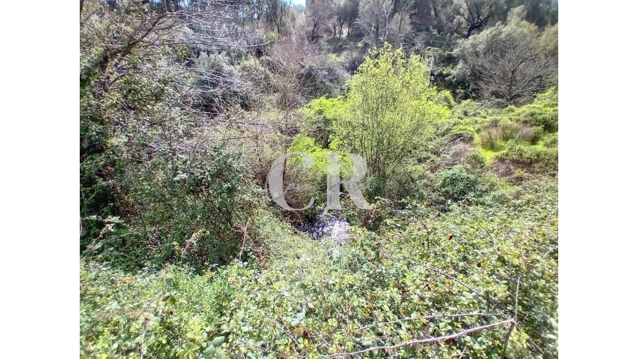 Terreno para Venda em Campelo Foto 27