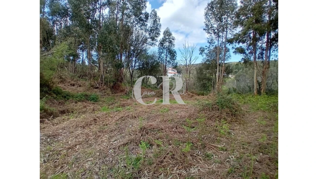 Terreno para Venda em Campelo Foto 24