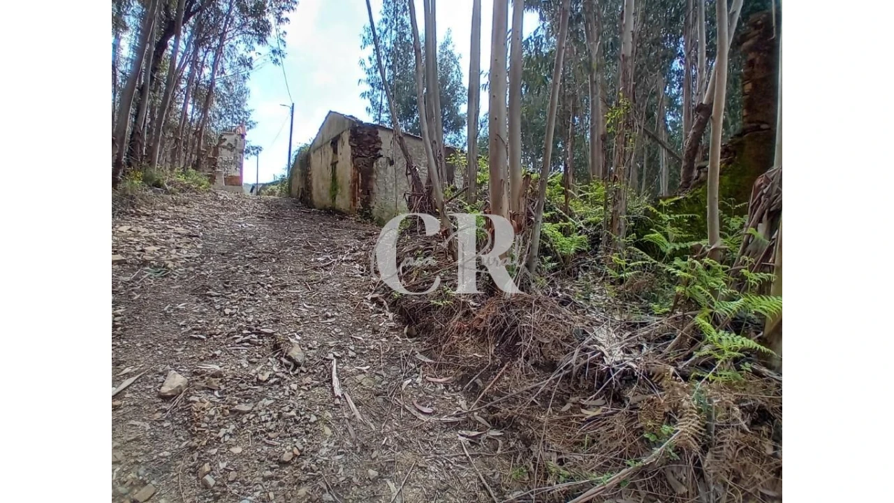 Terreno para Venda em Campelo Foto 4