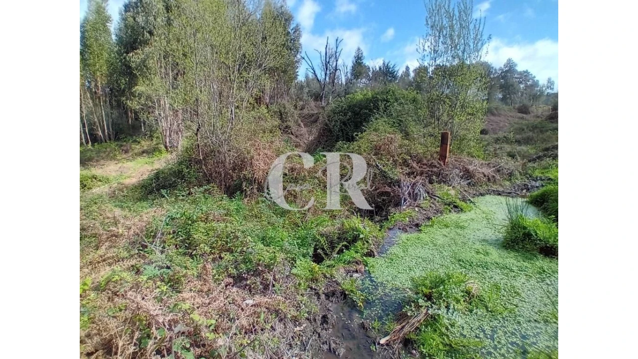 Terreno para Venda em Campelo Foto 3