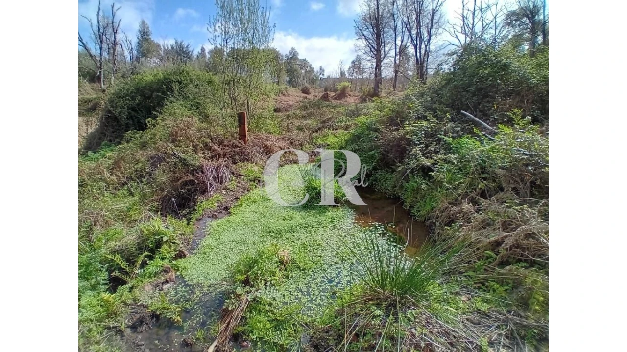 Terreno para Venda em Campelo Foto 1