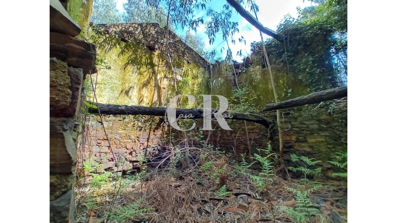 Terreno para Venda em Campelo Foto 14