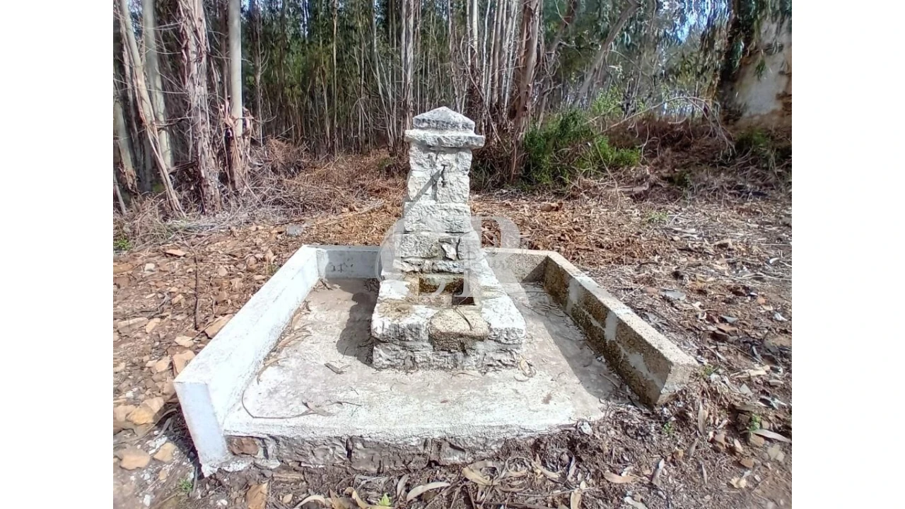 Terreno para Venda em Campelo Foto 25