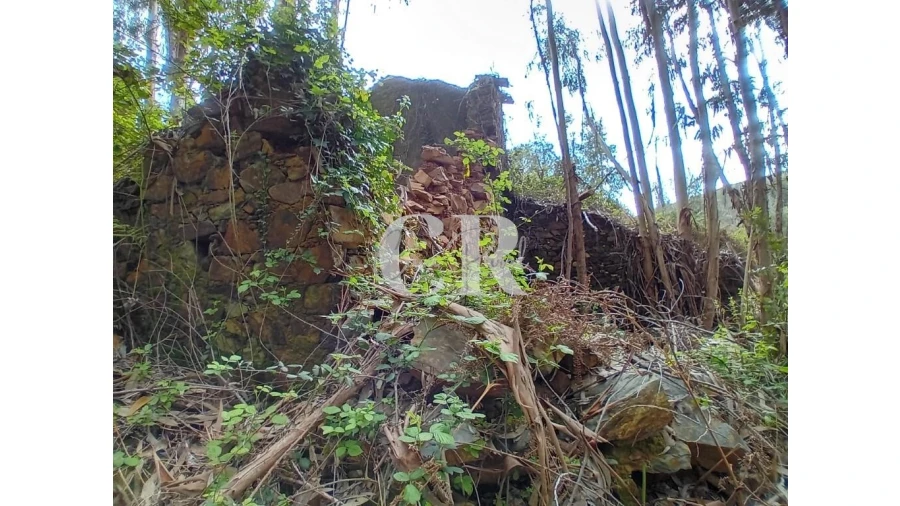 Terreno para Venda em Campelo Foto 16