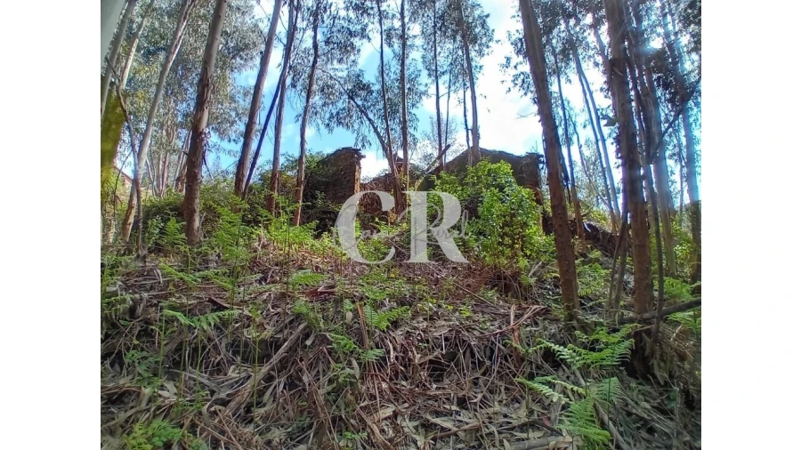 Terreno para Venda em Campelo Foto 23