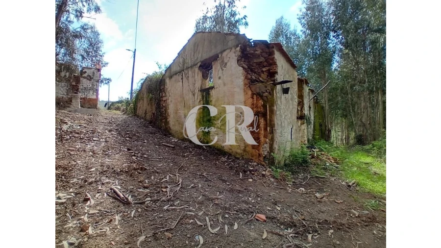 Terreno para Venda em Campelo Foto 9