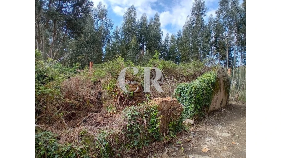 Terreno para Venda em Campelo Foto 21