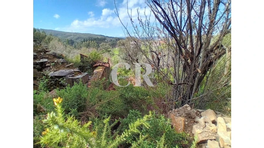 Terreno para Venda em Campelo Foto 30