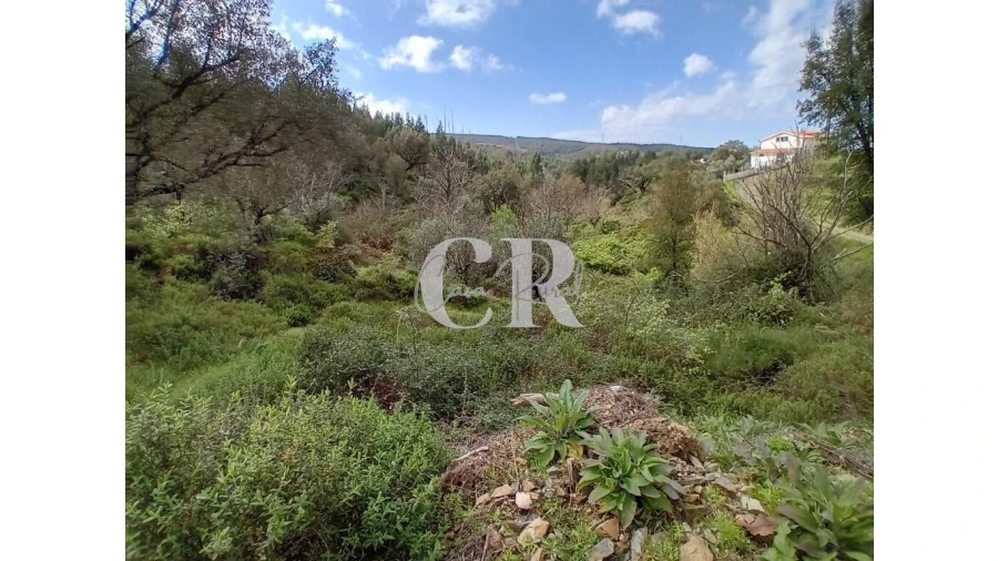 Terreno para Venda em Campelo Foto 28