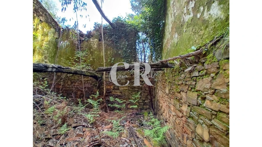 Terreno para Venda em Campelo Foto 15