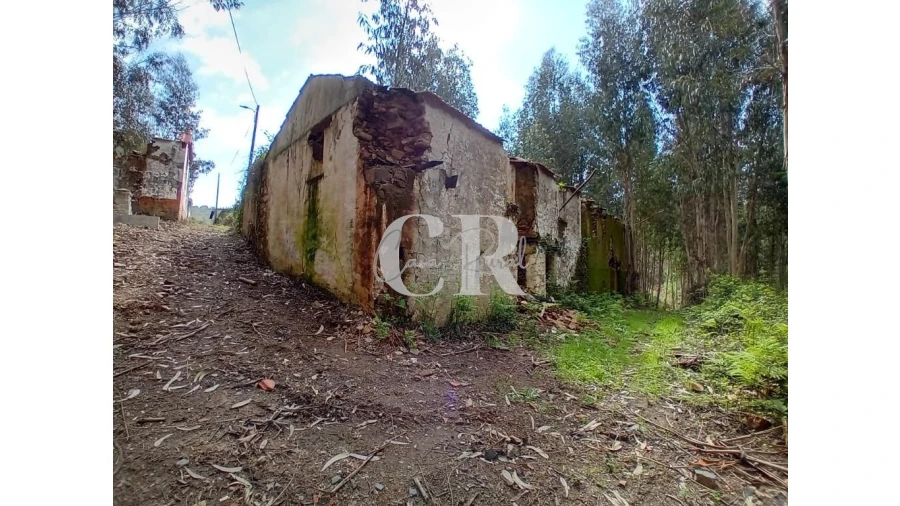 Terreno para Venda em Campelo Foto 10