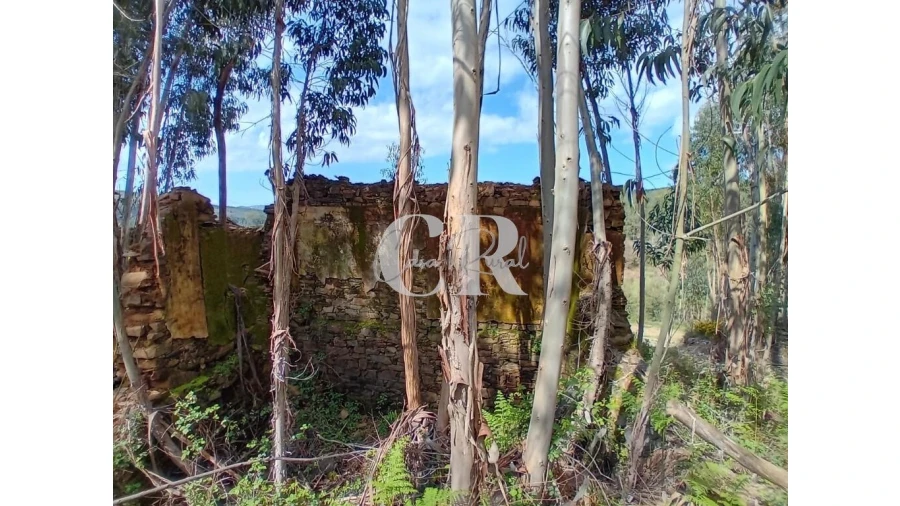 Terreno para Venda em Campelo Foto 19