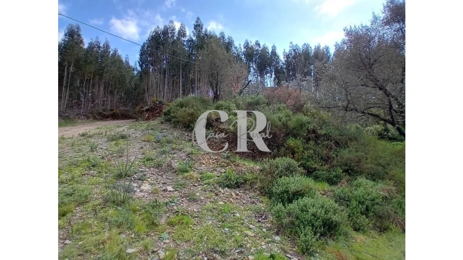 Terreno para Venda em Campelo Foto 26