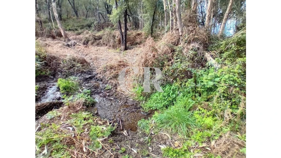 Terreno para Venda em Campelo Foto 6