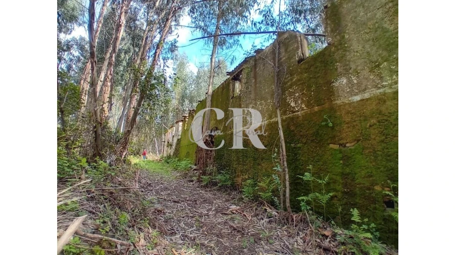 Terreno para Venda em Campelo Foto 13