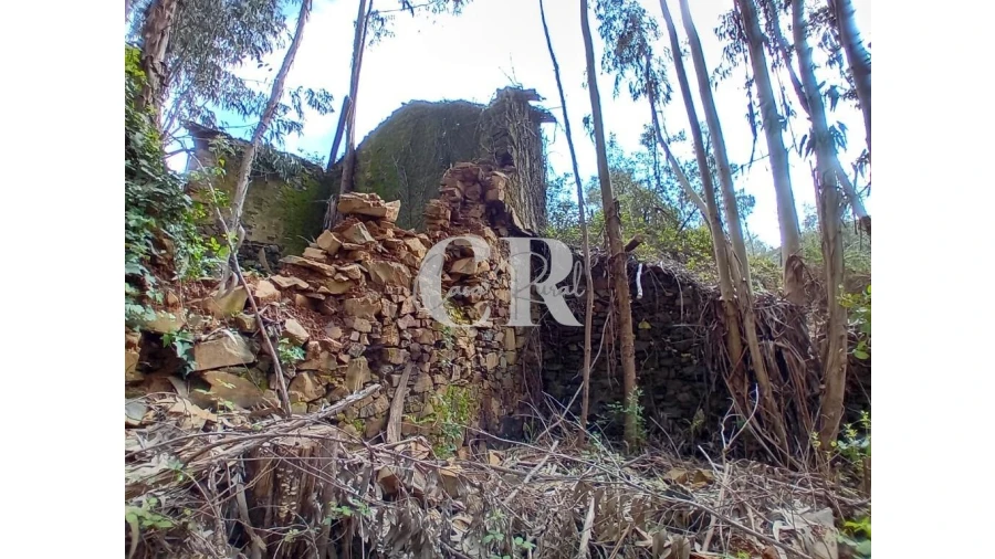 Terreno para Venda em Campelo Foto 17