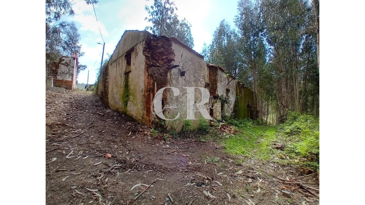 Terreno para Venda em Campelo Foto 10