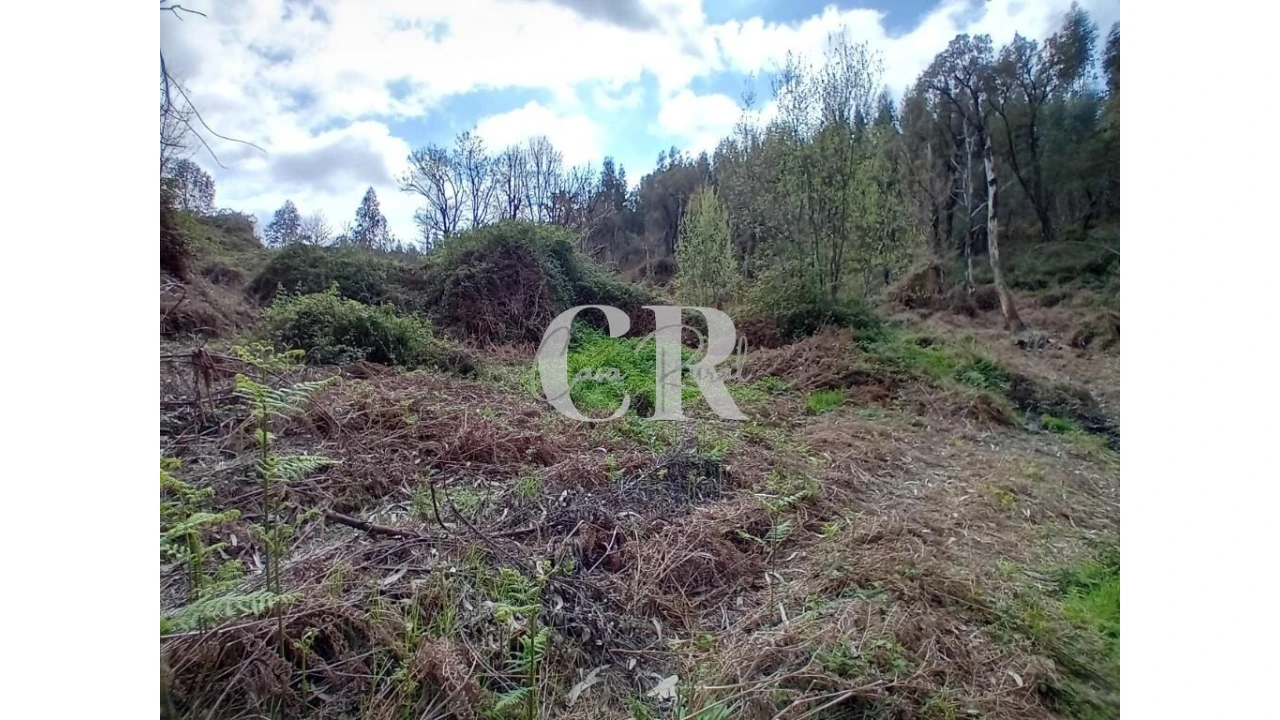 Terreno para Venda em Campelo Foto 7