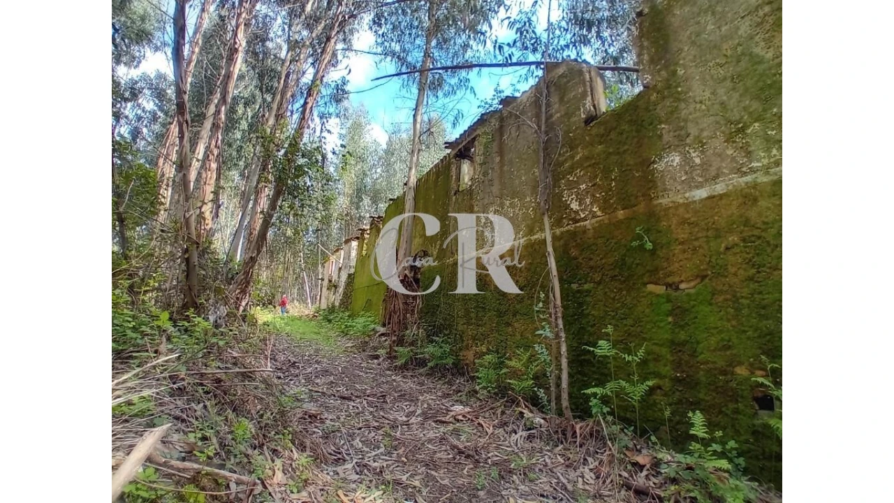 Terreno para Venda em Campelo Foto 13