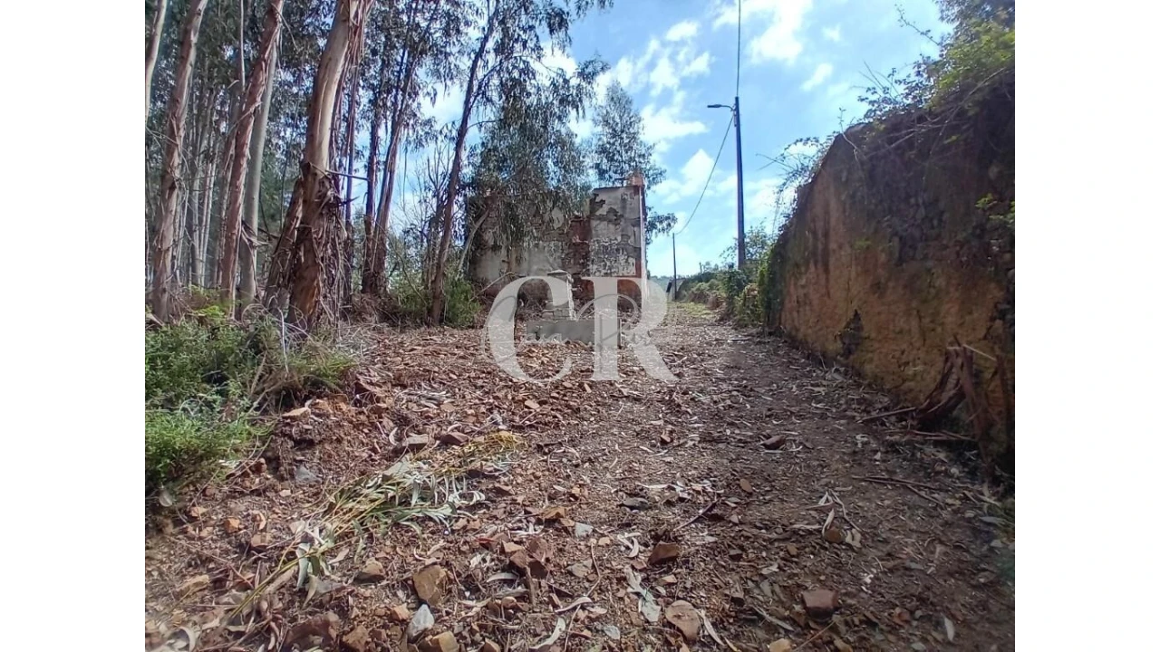 Terreno para Venda em Campelo Foto 20