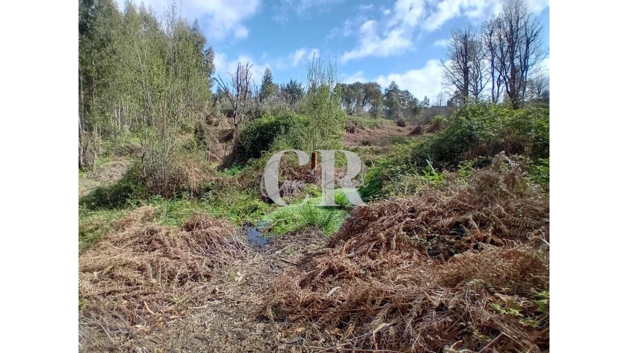 Terreno para Venda em Campelo Foto 5
