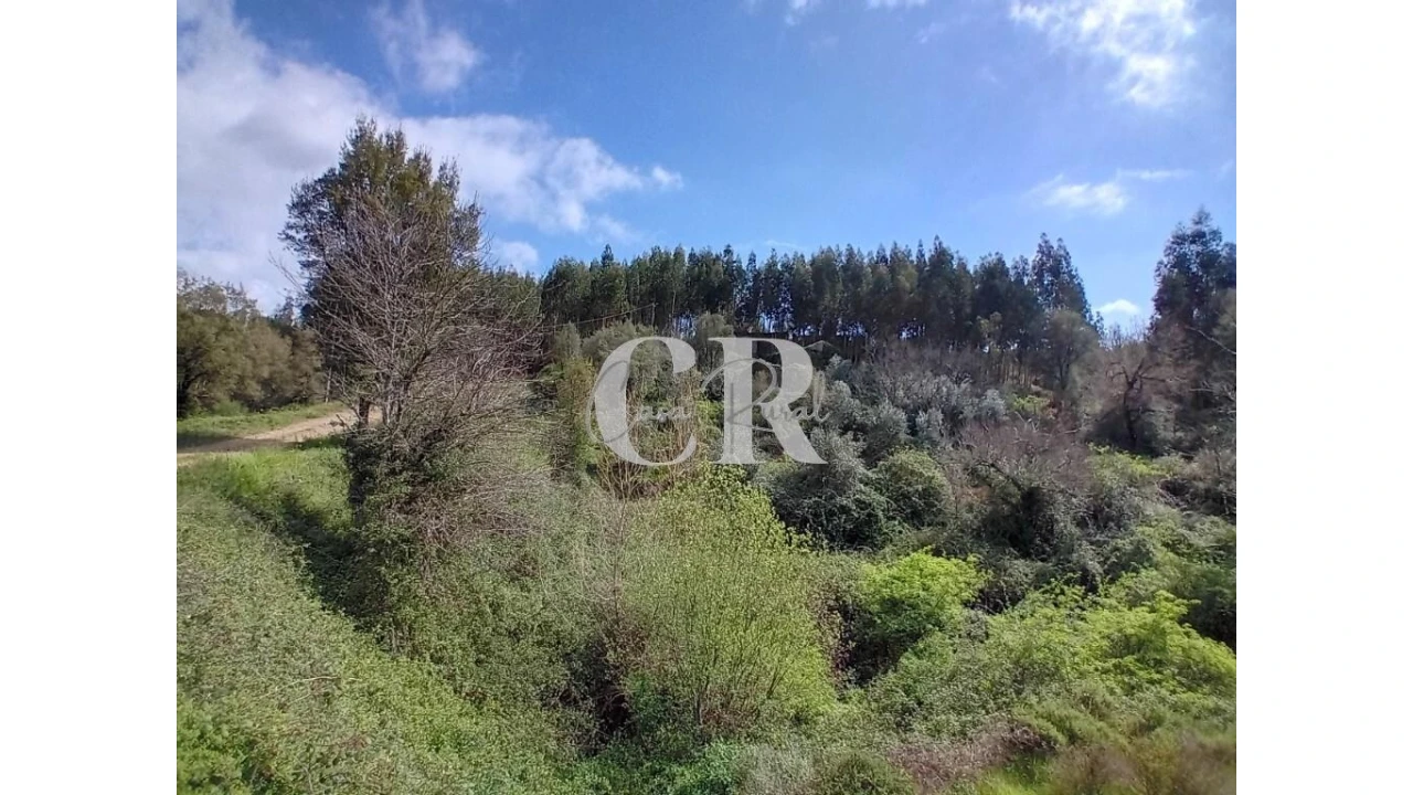 Terreno para Venda em Campelo Foto 29