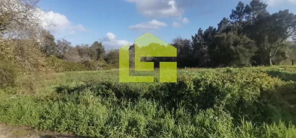 Terreno para Venda em Assafarge e Antanhol