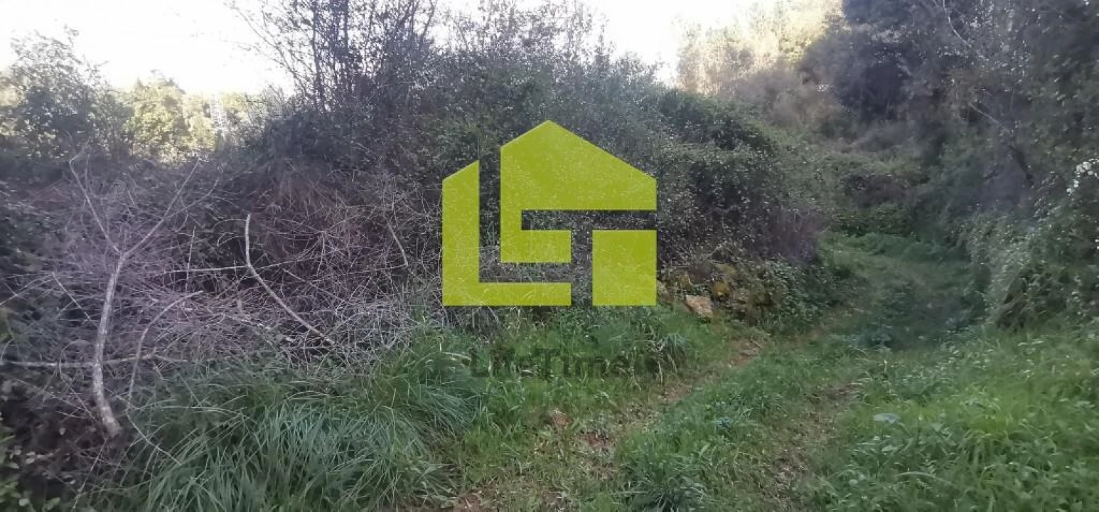 Terreno para Venda em Assafarge e Antanhol Foto 12