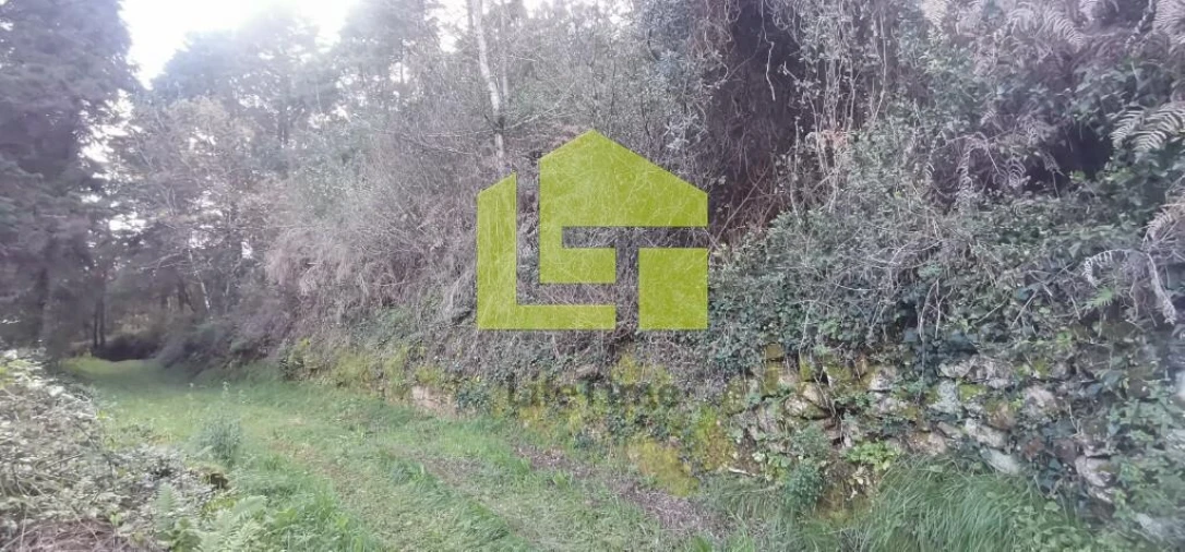 Terreno para Venda em Assafarge e Antanhol Foto 11