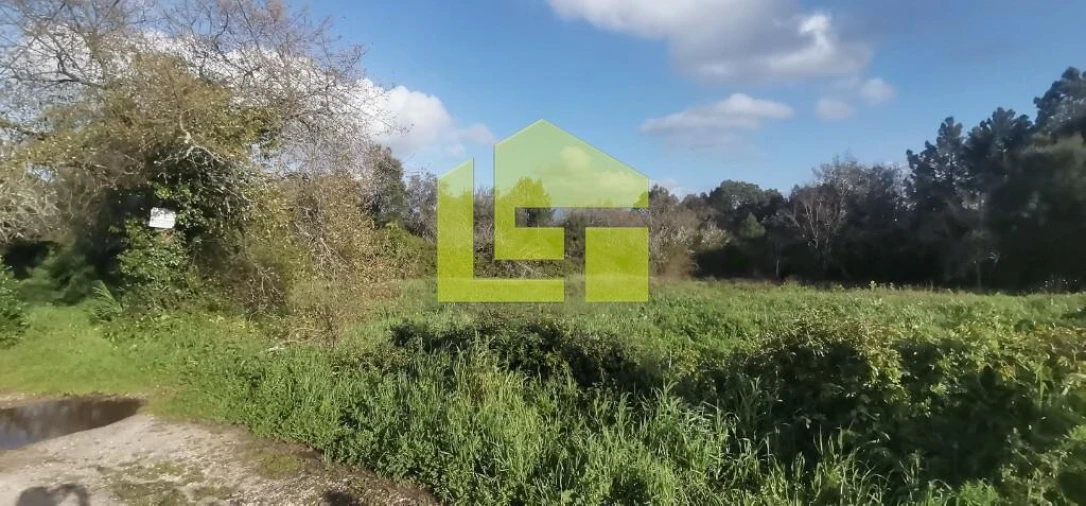 Terreno para Venda em Assafarge e Antanhol Foto 2