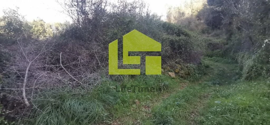 Terreno para Venda em Assafarge e Antanhol Foto 12