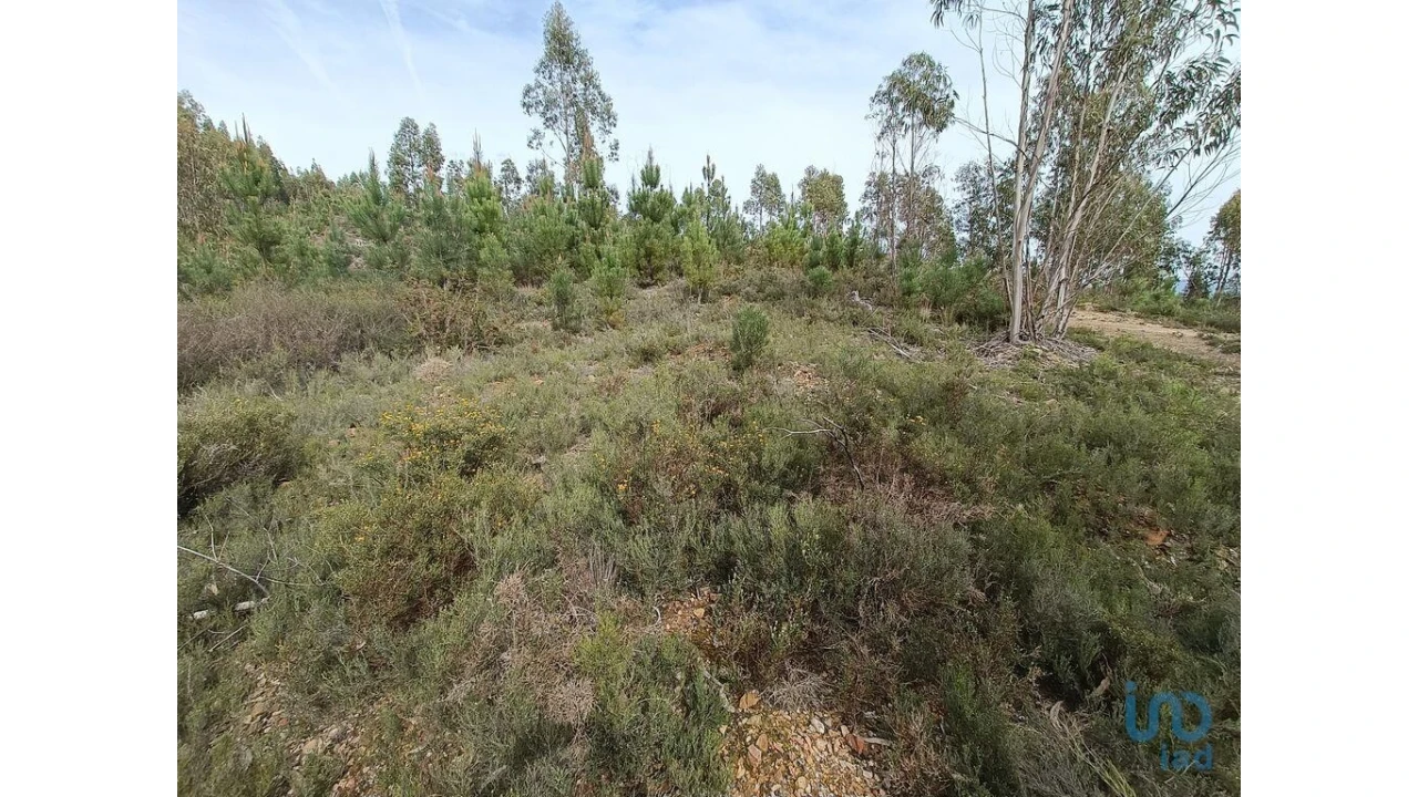Terreno para Venda em Graça Foto 7