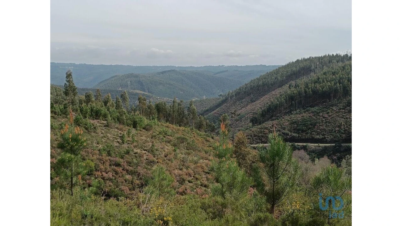 Terreno para Venda em Graça Foto 1