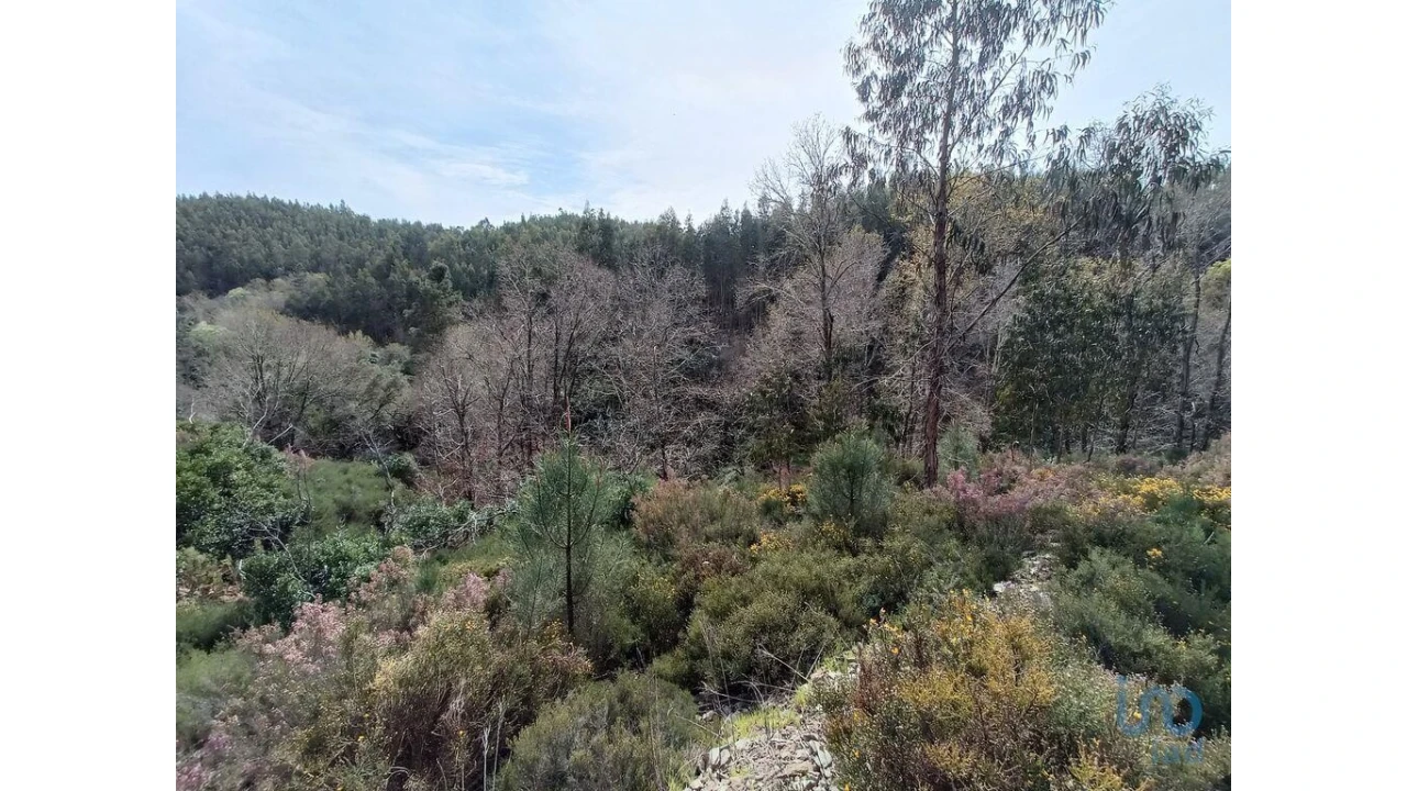 Terreno para Venda em Graça Foto 4