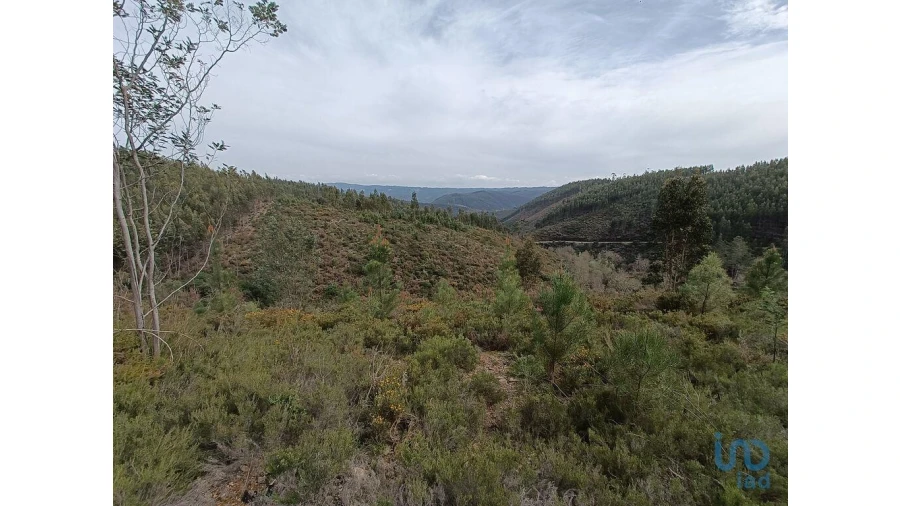 Terreno para Venda em Graça Foto 9