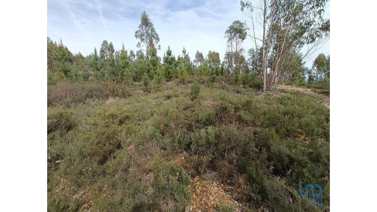 Terreno para Venda em Graça Foto 6