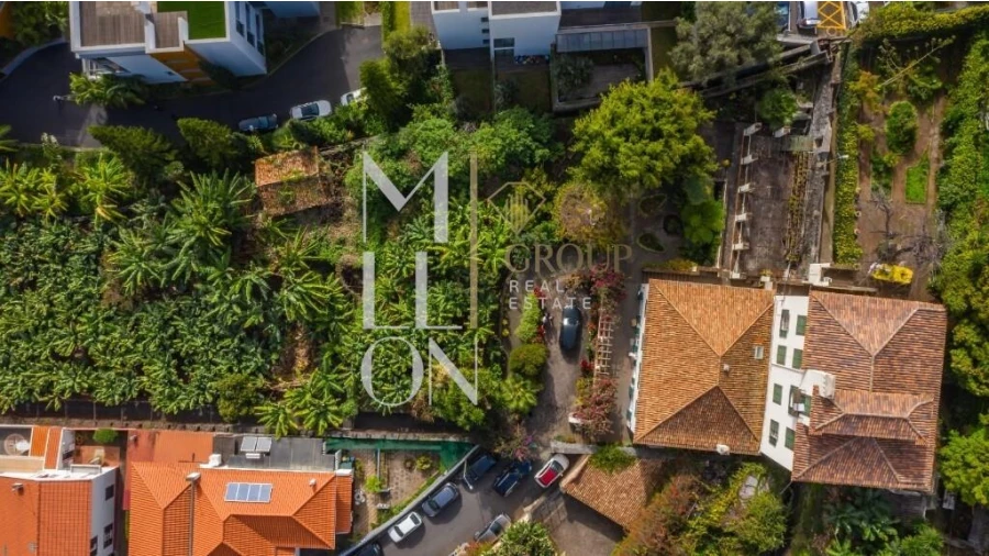 Terreno para Venda em Funchal (São Pedro) Foto 12