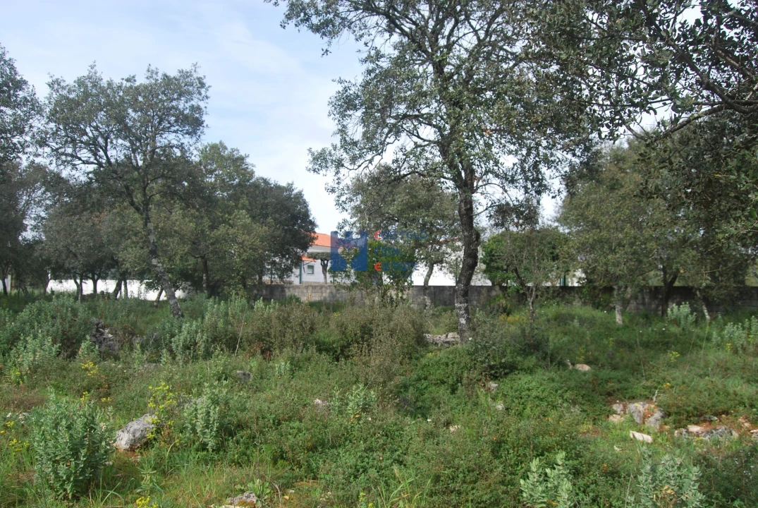 Terreno para Venda em Fatima Foto 4