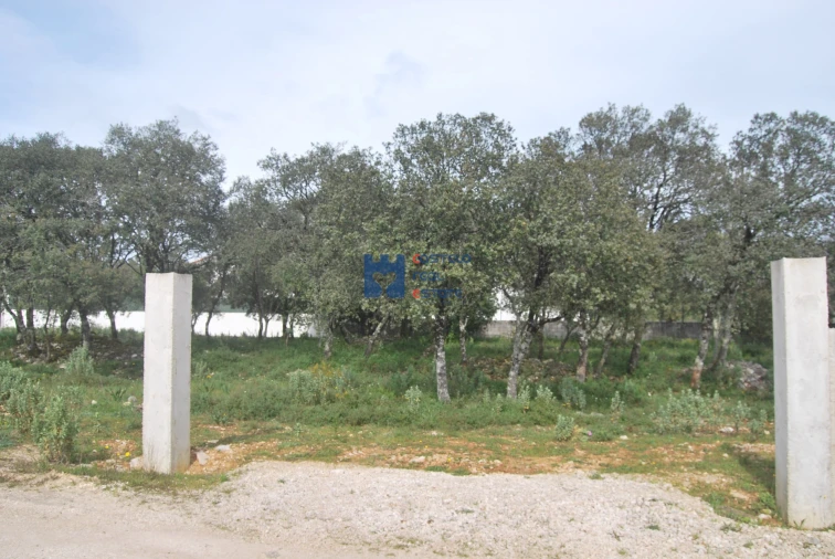 Terreno para Venda em Fatima Foto 7