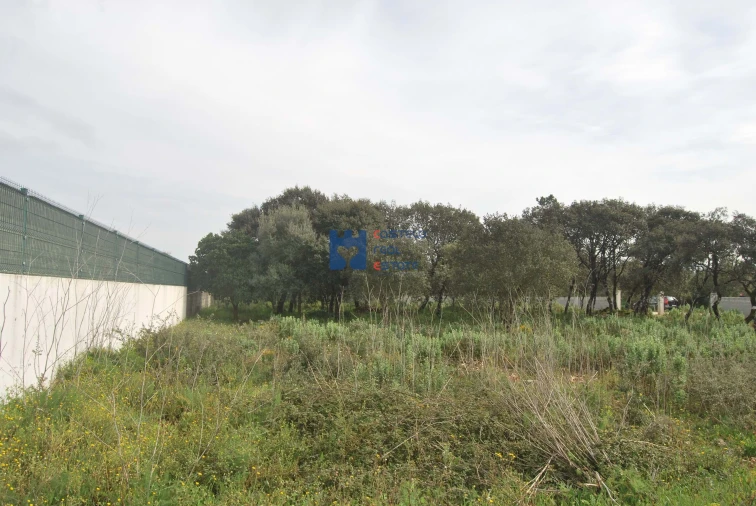 Terreno para Venda em Fatima Foto 13